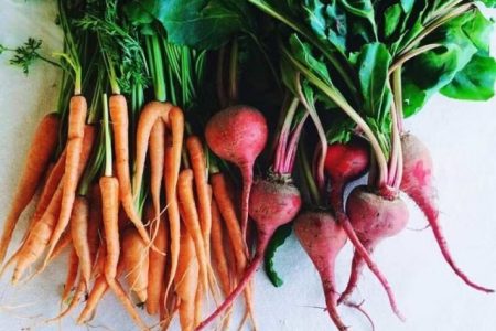 ۱۳ سبزی ریشه‌ای که بدن شما را متحول می‌کنند