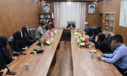 نشست اعضای شورای شهر مسجدسلیمان با فعالان محیط زیست برای بهبود فضای سبز و مدیریت شهری