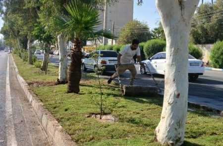 گام تازه شهرداری مسجدسلیمان در توسعه و زیباسازی فضای سبز شهری