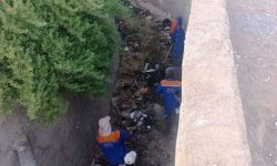 گزارش عملکرد هفتگی معاونت خدمات شهری (واحد خدمات) شهرداری مسجدسلیمان