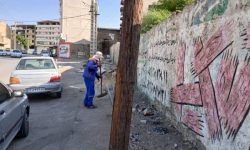 گزارش عملکرد واحد خدمات شهری معاونت خدمات شهری شهرداری مسجدسلیمان در هفته ای که گذشت