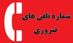 ثانیه‌های طلایی نجات / در زمانه بحران، تلفن را برای چه شماره‌ای برداریم؟