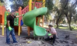 گزارش هفتگی معاونت خدمات شهری (واحد فضای سبز) شهرداری مسجدسلیمان