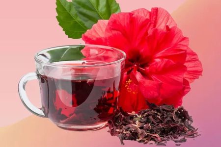 برداشت چای ترش از مزارع گتوند