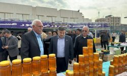 فرماندار مسجدسلیمان: جشنواره عسل، گامی مهم در تحقق اقتصاد مقاومتی است