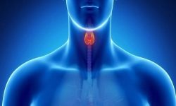 مراقب خرابی «پدال گاز» بدن باشید