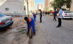 پاکسازی و هرس فضای سبز و درختان شهرک ولیعصر در پاسخ به مطالبه ساکنان