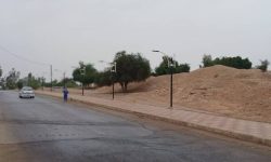 پاکسازی و بهسازی محیطی در بلوار بی‌بیان