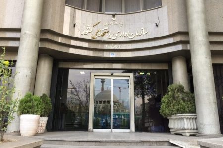 رفیع زاده: نیروهای شرکتی و قراردادی در کوچک‌سازی دولت بیکار نخواهند شد