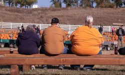 تیپ بدنی شما چیست؟ ؛ ویژگی‌های فیزیکی هر تیپ بدنی