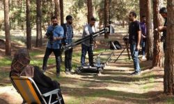 دختری که گوشواره هایش را فروخت تا جنگل متولد شود / قصه یک جنگل دست‌ کاشت در دل کویر