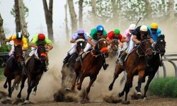 برترین‌های هفته پنجم مسابقات کورس سوارکاری اهواز مشخص شدند