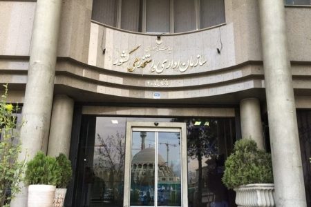 ضوابط جدید دورکاری اعلام شد / آخرین وضعیت پرداخت حقوق کارکنان دولت