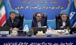 تحقق ۱۰۱ درصدی برنامه تولید در شرکت نفت و گاز مارون / رامین حاتمی: صنعت نفت در جنگ‌ تحمیلی اخیر حماسه آفرید