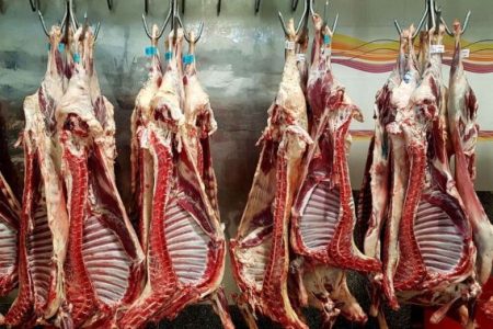 جمع‌آوری مراکز غیرقانونی ذبح دام در جاده‌های شهرستان مسجدسلیمان