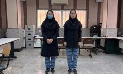 دخترعموهای سارق بهانه آموزش زبان از خانه ها دزدی می کردند
