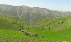 تمرکز برنامه‌های هفته منابع طبیعی بر افزایش مشارکت عمومی