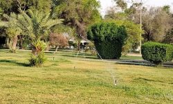 طراوت بخشی و زیباسازی فضای سبز پارک ها و بلوارها در سطح منطقه ۳