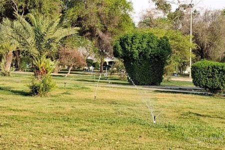طراوت بخشی و زیباسازی فضای سبز پارک ها و بلوارها در سطح منطقه ۳
