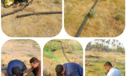 ارتقای شبکه آبیاری در پارک حجاب اهواز با آغاز عملیات نصب سیستم اسپرینکلر