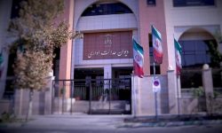 دیوان عدالت اداری درباره شرایط پیش‌فروش خودرو توضیح داد؛ چه چیزی باطل شد؟