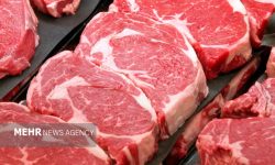 مزایای مصرف پروتئین برای طول عمر