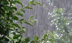 پیش‌بینی بارش بالای ۷۰درصدی بیشتر از نرمال در پاییز/آماده‌باش نیروهای امدادی