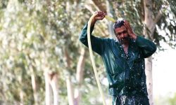 رطوبت هوا در خوزستان به بالای ۸۰ درصد رسید
