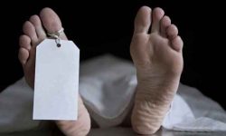 قتل مرد نمایشگاه‌دار به خاطر خودرو کوئیک