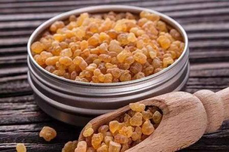 کندر بخوریم باهوش می‌شویم؟؛ واقعیت علمی این ادعا