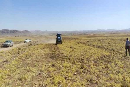 چهارمحال به دنبال الگوی جدید کشت گیاهان دارویی