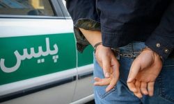 نقشه قتل تاجر تهرانی برای سرقت عتیقه ناکام ماند